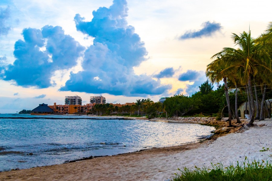 Quelles plages de Miami offrent les meilleures perspectives de valorisation immobilière ?