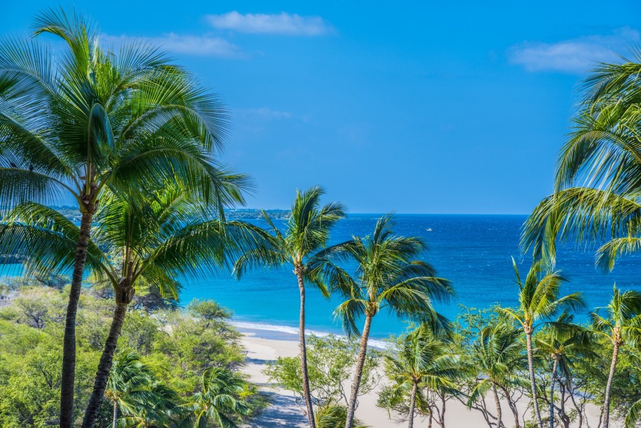 Pourquoi West Palm Beach est-elle la destination de rêve en Floride ?